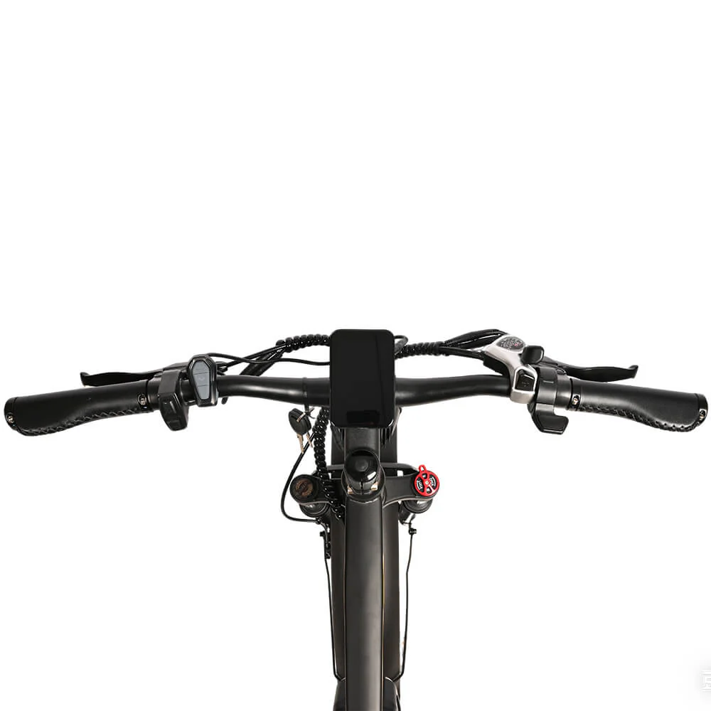HEADEER BD2640 48V 750W 21.6Ah Fat Tire Electric Bike - Image 5
